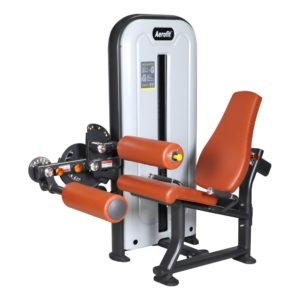 AF 9953 LEG EXTENSION / LEG CURL