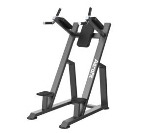 AF 4441 VERTICAL KNEES UP / DIP