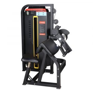 AF 2883 Biceps / Triceps