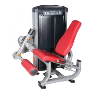 AF 8907 Seated Leg Extension