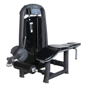 AF 2413 Horizontal Leg Curl