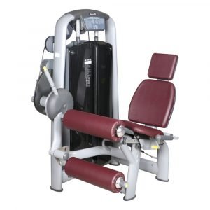 AF 6001 Seated Leg Curl