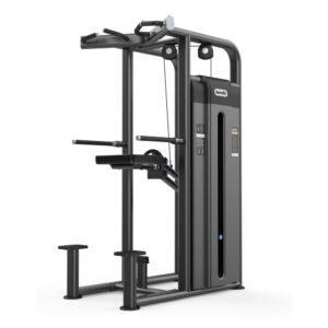 AF 4809 Dip Chin Assist